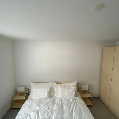 The Nest - Great Overview *