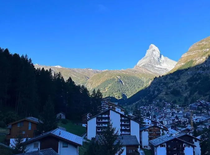 The Nest - Great Overview *