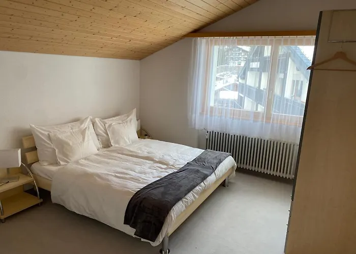 The Nest - Great Overview *