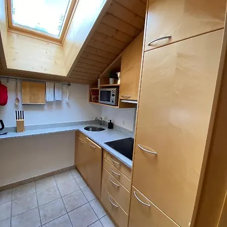 The Nest - Great Overview *