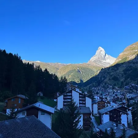 The Nest - Great Overview *